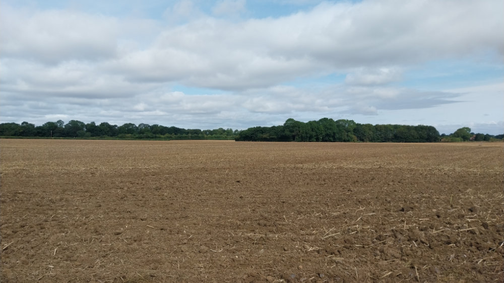 Some post, pre-birthday, reflections